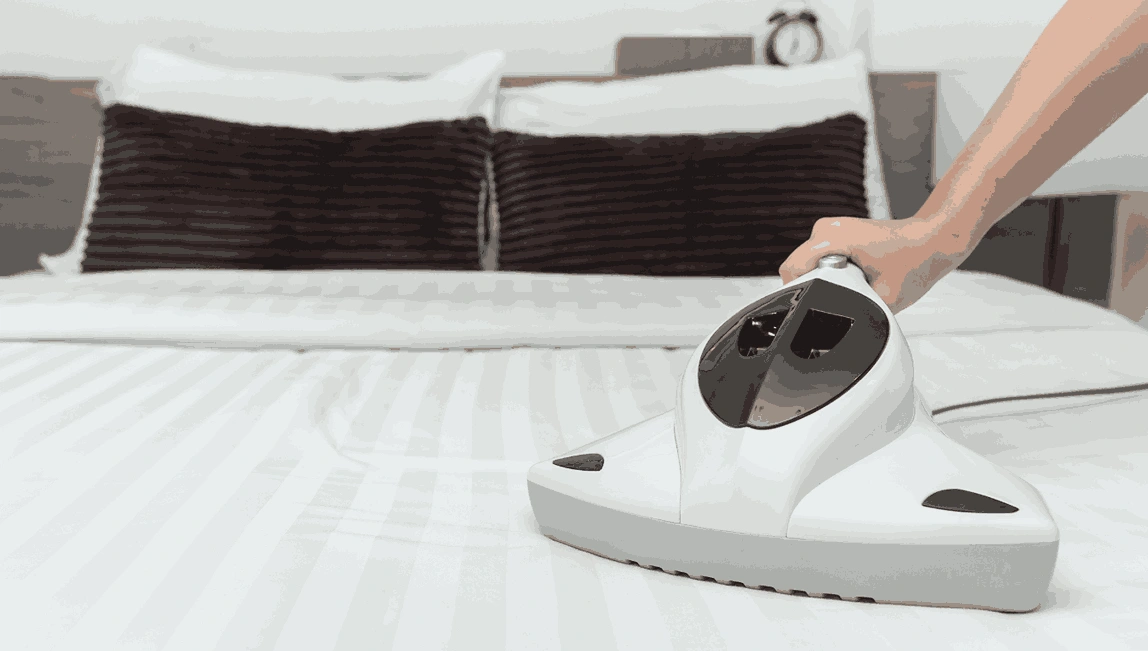 Professional Mattress Cleaning Maidstone